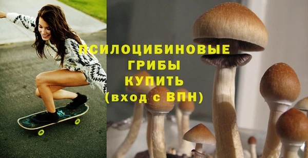 а пвп мука Богородицк
