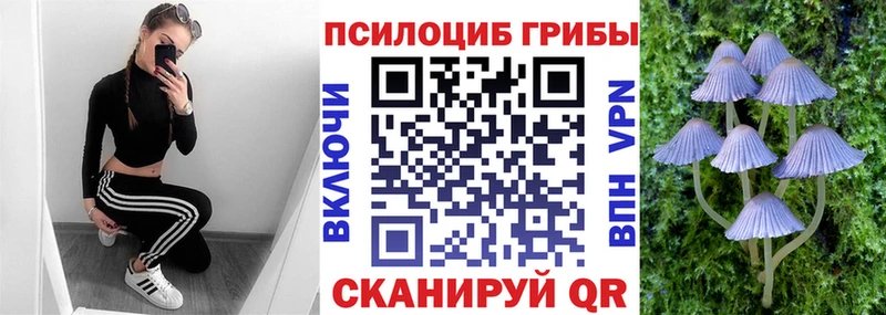 Галлюциногенные грибы Psilocybine cubensis  Купить где  Камень-на-Оби 